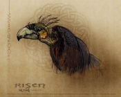 262_risen-vulture-alone-wallpaper-1280x1024.jpg
