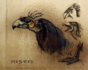 Risen1 - Vulture Art Wallpaper 1280 x 1024
