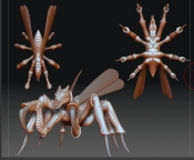 334_risen-3Dmodel-giantbug.jpg