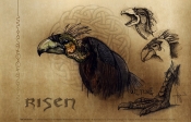 264_risen-vulture-art-wallpaper-1600x1014.jpg
