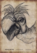 281_risen-seavulture-black-portrait-1141x1627.jpg